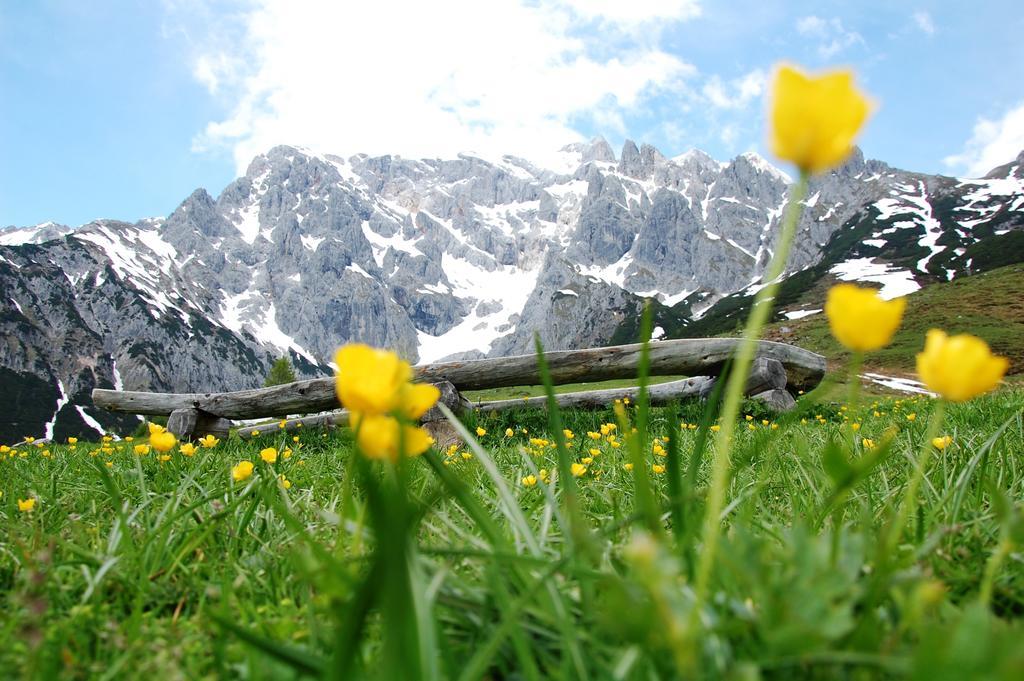 Pension Anni Wagrain Bagian luar foto