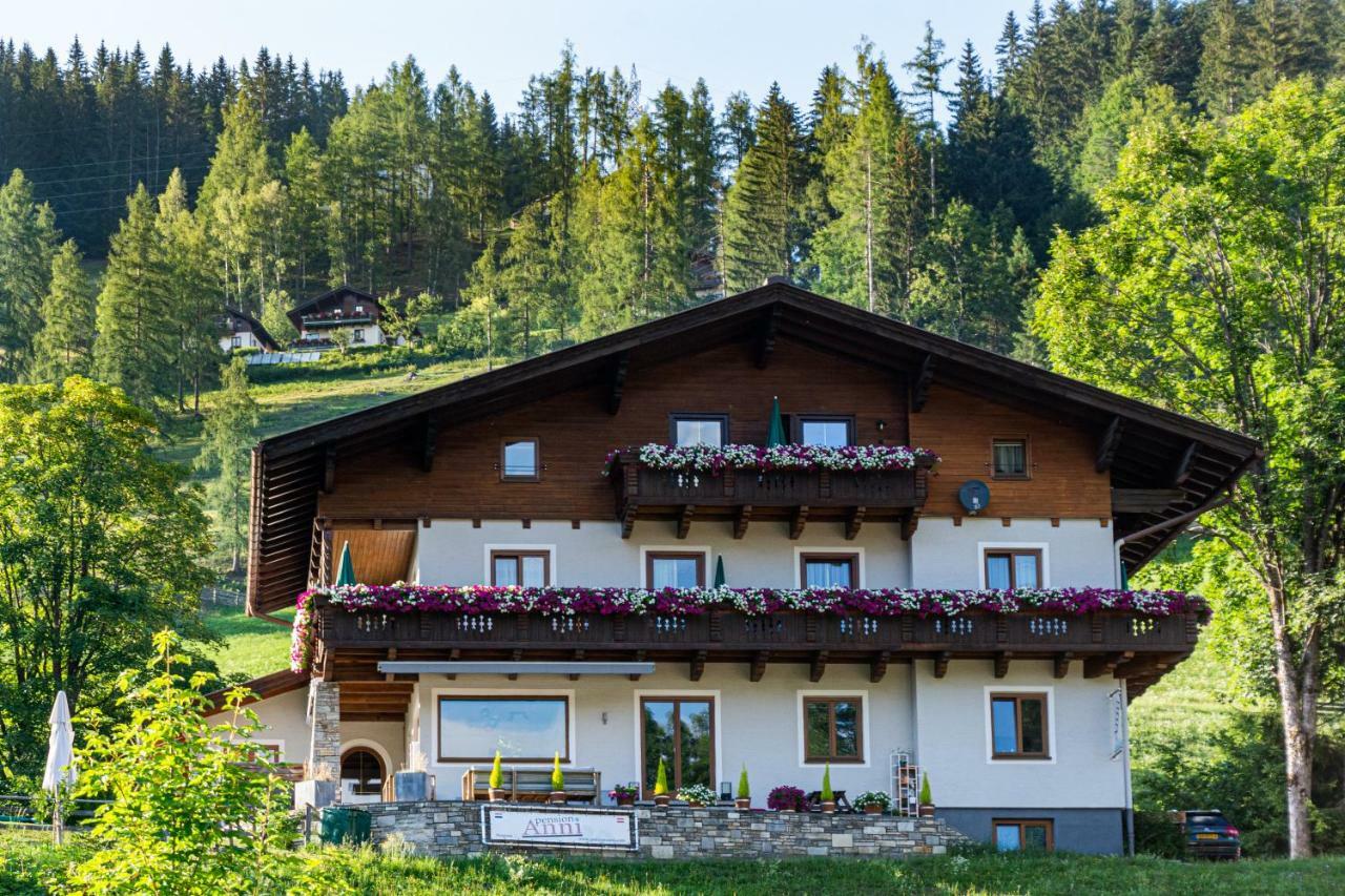 Pension Anni Wagrain Bagian luar foto